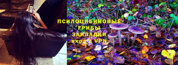 герыч Вяземский