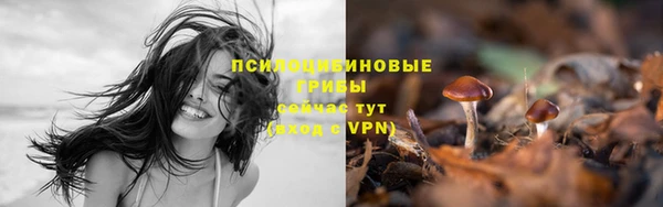 кокс Горно-Алтайск