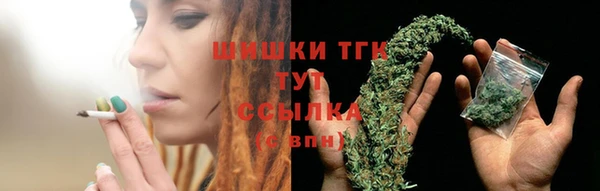 PSILOCYBIN Вязники
