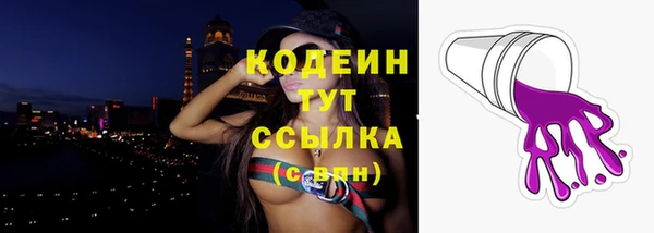 ПСИЛОЦИБИНОВЫЕ ГРИБЫ Рославль