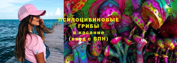 герыч Вяземский