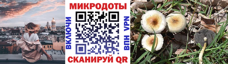 Галлюциногенные грибы мицелий  Изобильный 